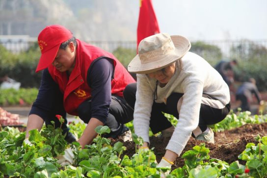 dd481d237e6a1674b57ad65d8fa1251